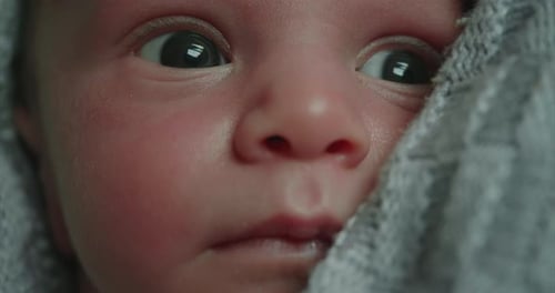 Newborn Baby Close Up Wrapped in Blanket