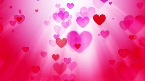 Valentines Hearts Background Loop