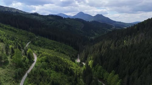 Aerial View of Winding Road Through Dense Green Forest and Mountain Valley