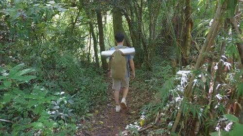 Back View Of Asian Hiker Male With A Backpack Hiking In The Forest