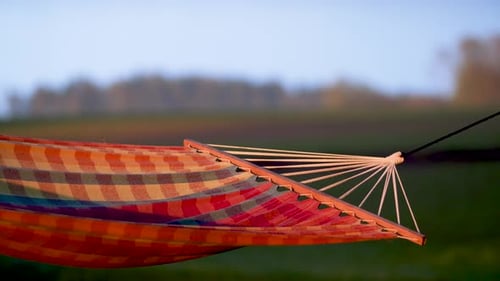 Empty sleeping net hammock between trees swinging in calm wind