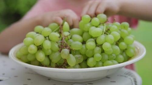 A young toddler girl is eating green grapes outside during the summer