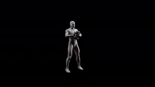 3D Anatomical Male Model Performing Squats with Muscle Highlight
