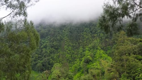 Mountains with Rainforest and Clouds