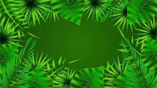 Animated Green Tropical Leaves Frame for Nature Content