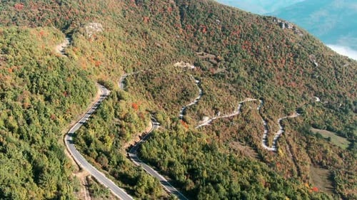 Uma estrada serpenteia por uma encosta coberta de árvores A estrada é cinza e as árvores são verdes e marrons