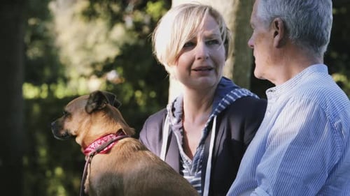 Retired Senior Couple sitting on bench in Park with dogs