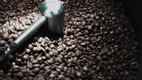 Roasted Coffee Beans Mixing in Roasting Machine