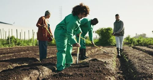 Landschaftsgestaltung, Boden, Landwirtschaft und Landwirte im Gemüseanbau