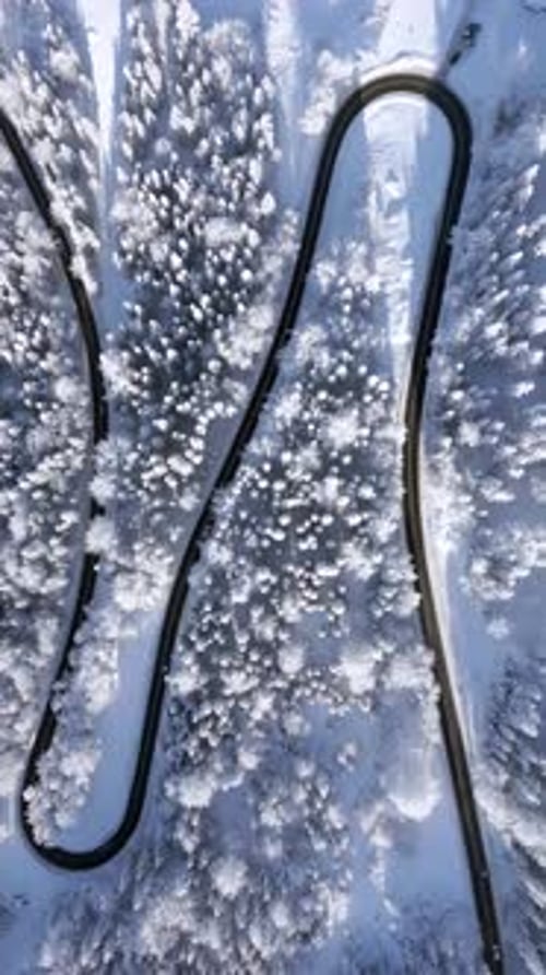 Scenic Serpentine Road Through a Snowy Mountain Forest in the Winter Wonderland
