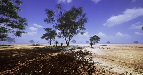 Vast Desert Landscape with Sparse Trees Under a Bright Blue Sky