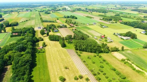 Village Field and forest in wild on sunrise. Country house in rural. Green fields and farmland. Vil