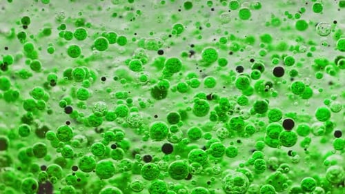 macro shot of green and black bubbles slowly moving around in water with light background