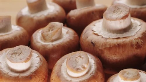 Frisch gepflückte Pilze in der heimischen Küche, Nahaufnahme, Textur einer braunen Champignon-Frau, die lecker kocht