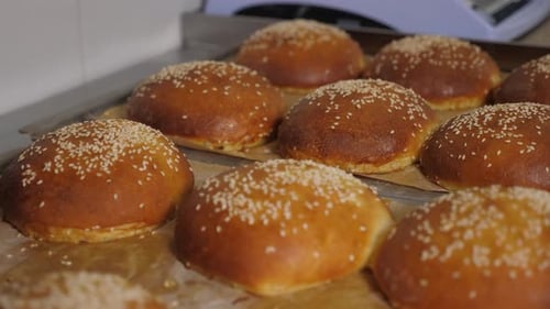 Closeup of Freshly Baked Burger Buns with Sesame Seeds in the Restaurant Kitchen