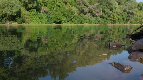 Bäume spiegelten sich im plätschernden Wasser des Flusses wider.
