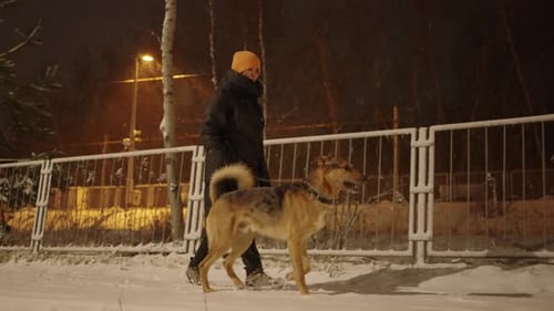 Woman Walking Her Dog on a Snowy Street of a Suburban Area at Night