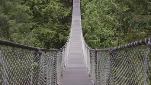 Suspension Bridge Over the Canyon and Waterfall with Forest and Trees in Canadian Nature