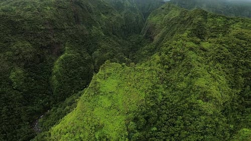 Aerial View of Rolling Hills and Green Landscape in Kauai Hawaii