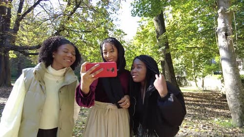 Multiracial group of young women using mobile walking along a park in a sunny day