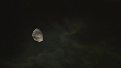 Moon