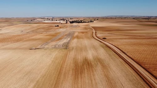Aerial view of dry fields and lines. Drone footage in Castilla la Mancha, land of don quijote, viney
