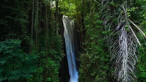 Arial View Green Nature of Forest Waterfall and Wet Mountain in River