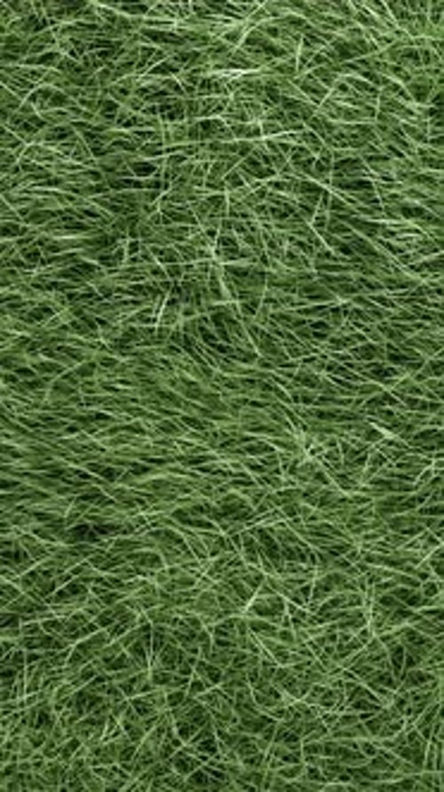 3D animated tall green grass moving softly in the wind.