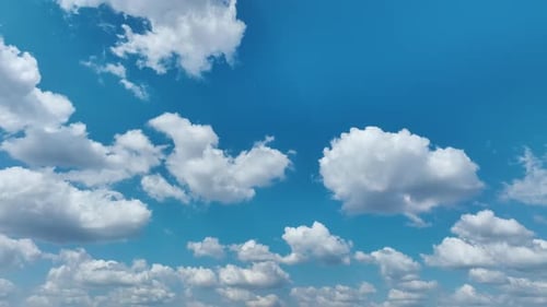 Weiße geschwollene Cumuluswolken am sommerlichen blauen Himmel, schwenkte Aufnahme von Wolkengebildewetter