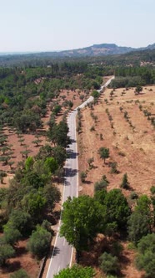 Aerial Vertical View of Country Road