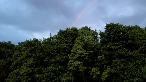 4k aerial drone footage rising up above trees with rainbow appearing above water in scottish highlan