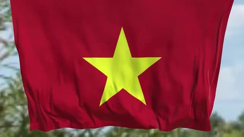 Realistic Waving Flag of Vietnam Loop