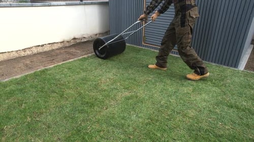 Homme utilisant un compacteur de pelouse dans son jardin