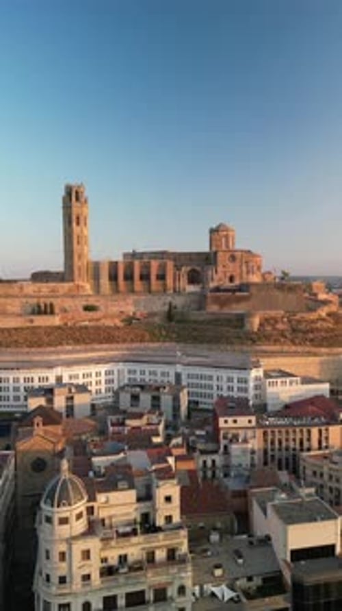 Aerial view of Seu Vella cathedral, Spain.