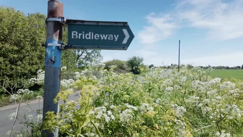 Bridleway signpost with direction arrow in rural countryside ground elder hedgerow