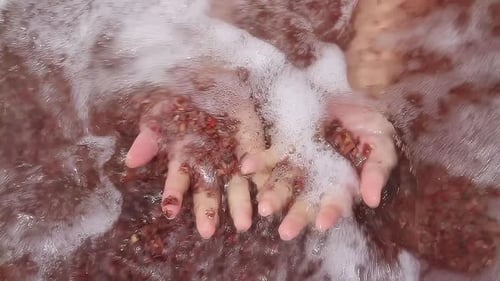 Hands Holding Red Pebbles in Ocean Water