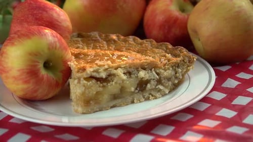 Home made apple pie with honey crisp apple on a red and white checker tablecloth
