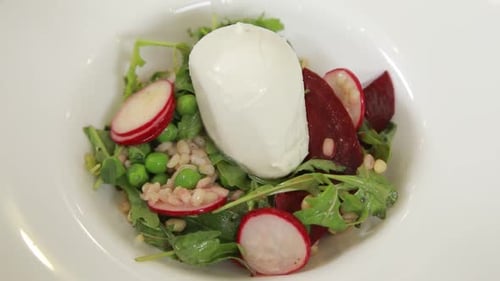 Fresh Salad with Mozzarella Cheese and Vegetables