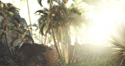 Tropical Jungle Palm Trees with Golden Sun Rays Animation