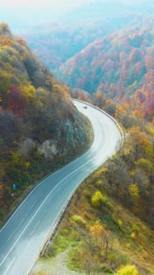 Aerial road trip. Drone view autumn trees near traffic.