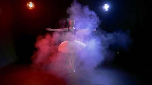 Silhouette of Young Graceful Ballet Dancer in Smoke in Dance Studio Slow Motion Pretty Woman in