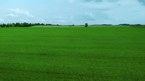 Aerial footage over grass field, green lawn and blue sky, natural landscape on village, cinematic im