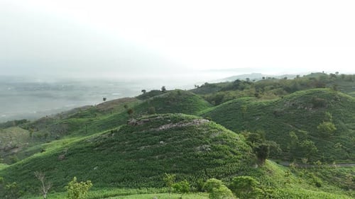 Vue par drone du paysage panoramique de collines verdoyantes