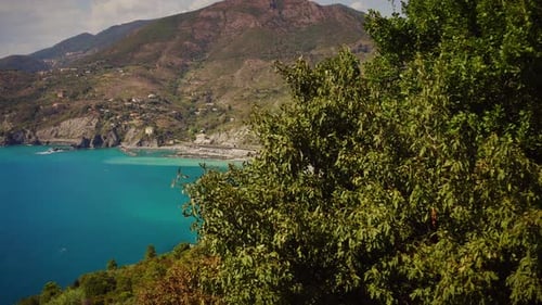Stunning reveal dolly shot of colorful bay area, coastline and town of Levanto from behind a tree du