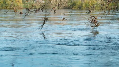 Überschwemmung