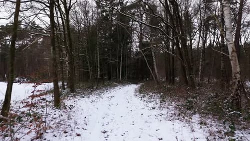 Flying through forest path with snow and ice in winter