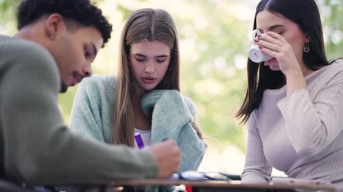 Group of University Students Collaborating on a Project Outdoors