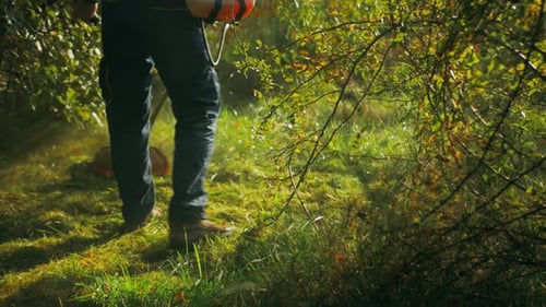 Garden plant with male worker keeping electric trimmer and cutting grass on the background