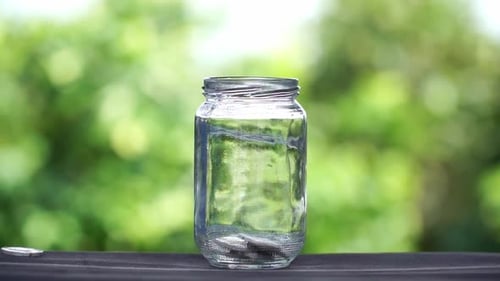 Coins falling in an empty glass with blur green nature background. The concept of saving. Economy