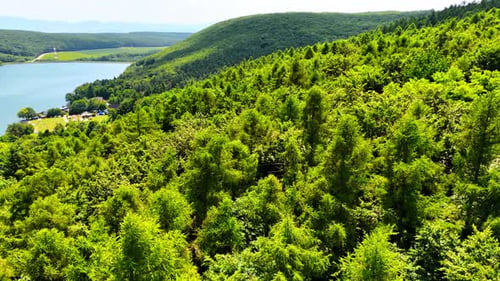 Flight over the verdant slope of the mountain. Wooded rocky area from drone footage.